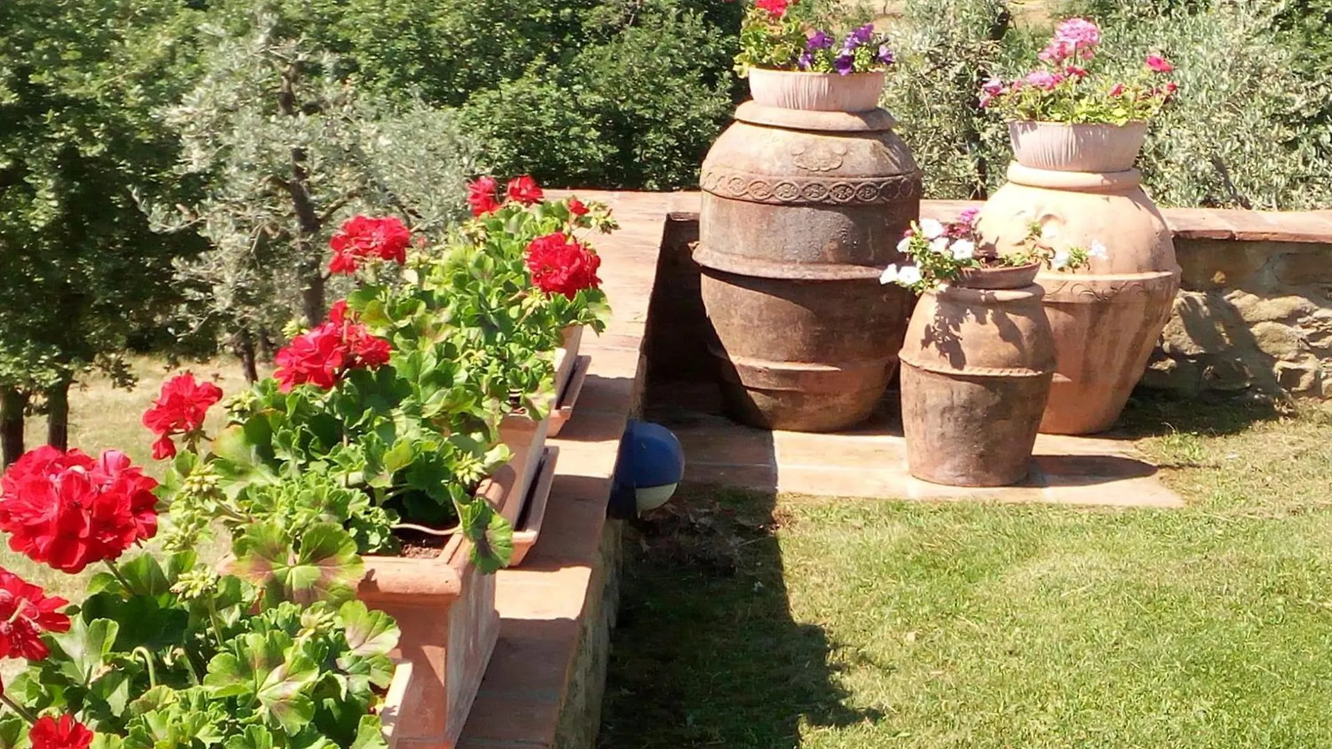 Il Baccellino Villa Ciggiano Italien